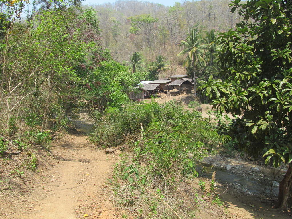 IMG_5665.jpg