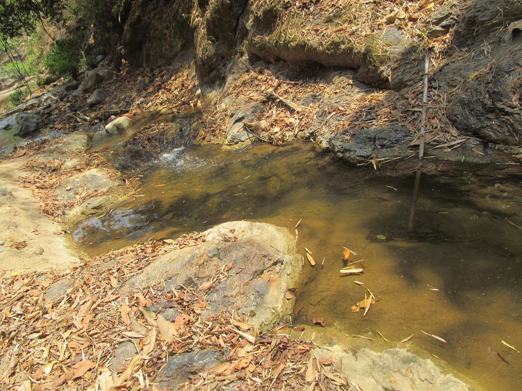 IMG_5686.jpg