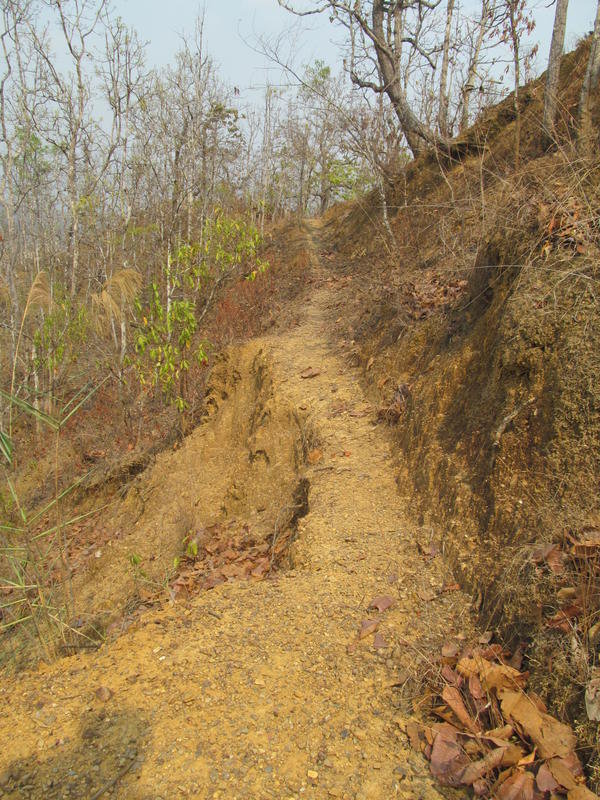IMG_5696.jpg