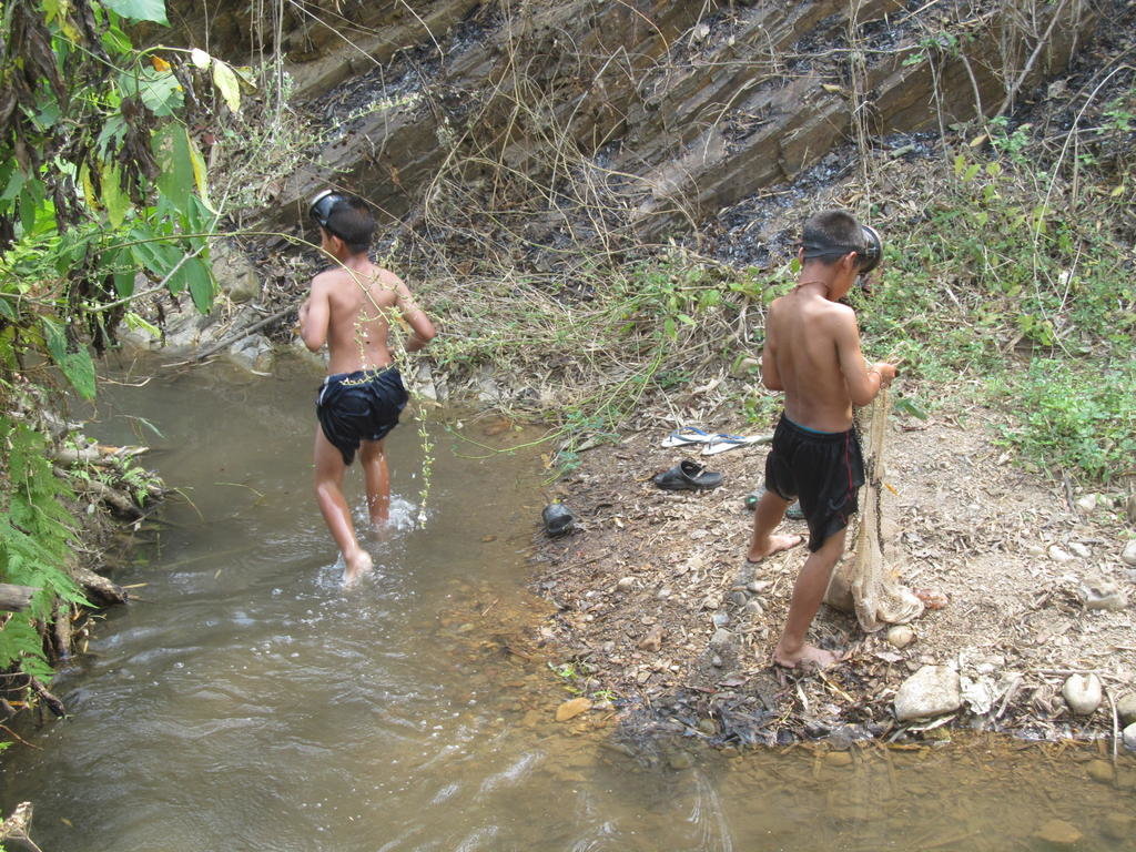 IMG_5740.jpg IMG_5740.jpg