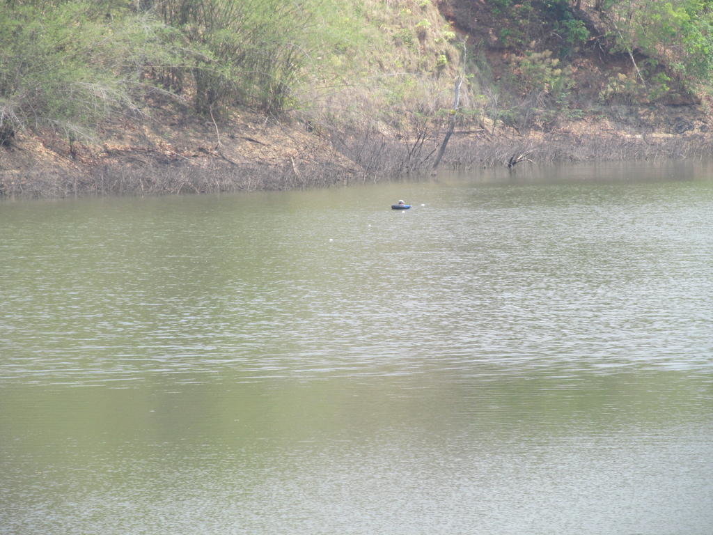IMG_5803.jpg IMG_5803.jpg