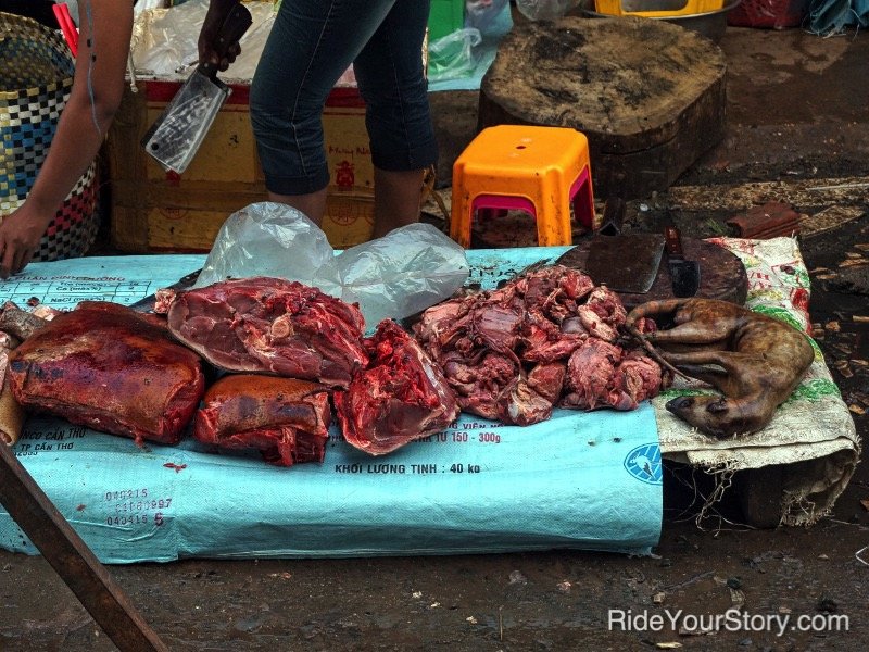 stung_treng_cambodia_rideyourstory_DSC06127-1.jpg