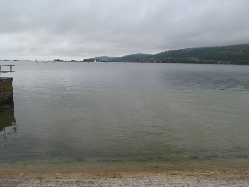 IMG_5909.jpg IMG_5909.jpg