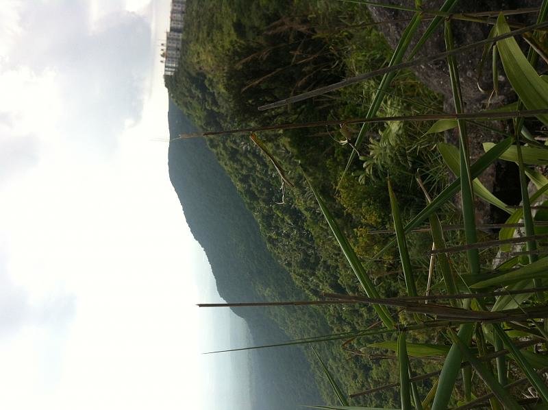 IMG_0790.jpg IMG_0790.jpg
