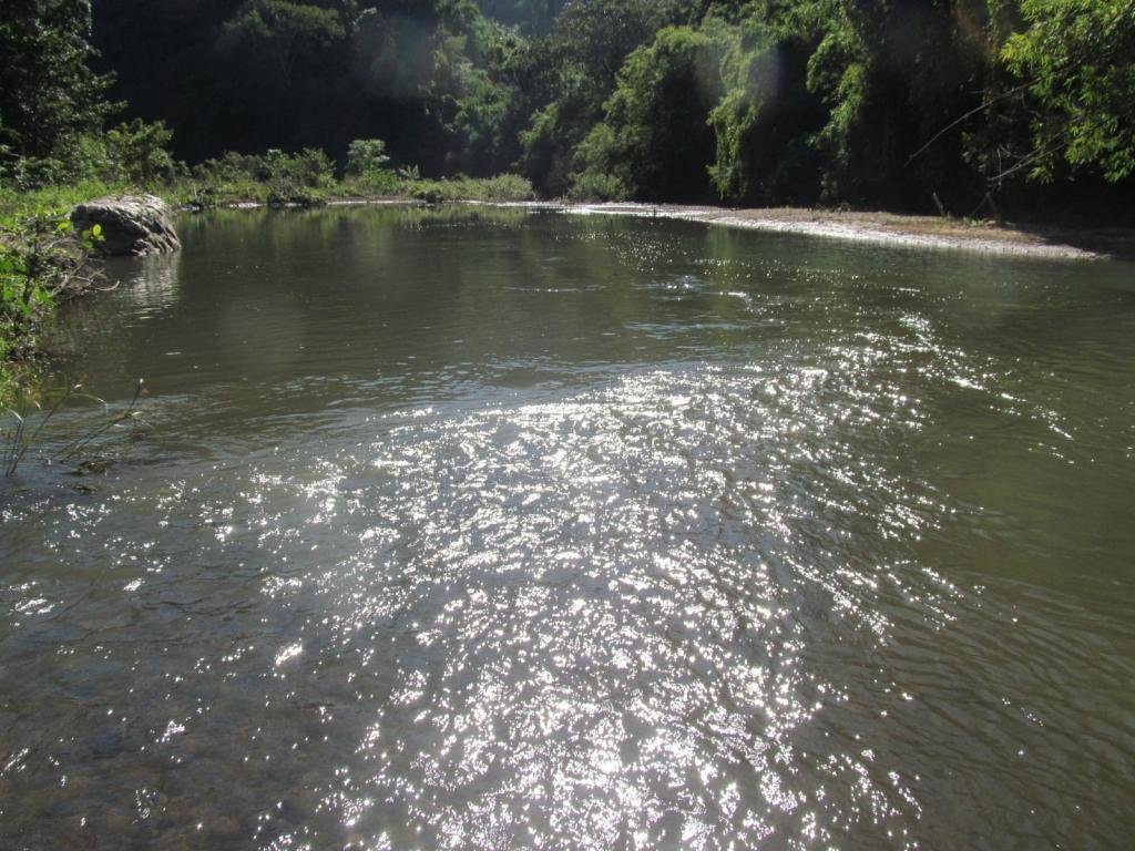 IMG_6903.jpg
