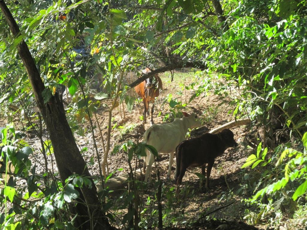 IMG_6905.jpg