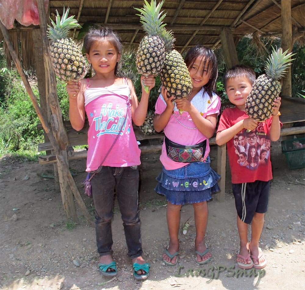 kids-pinapple.jpg