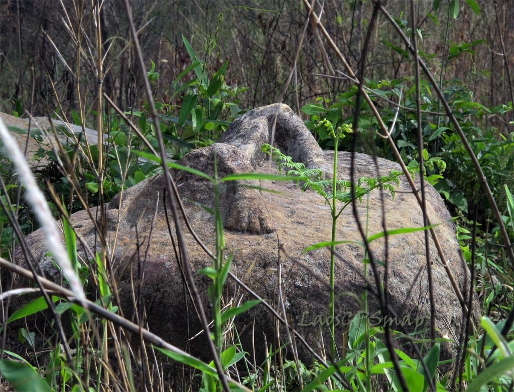 zooamorphic.jpg zooamorphic.jpg