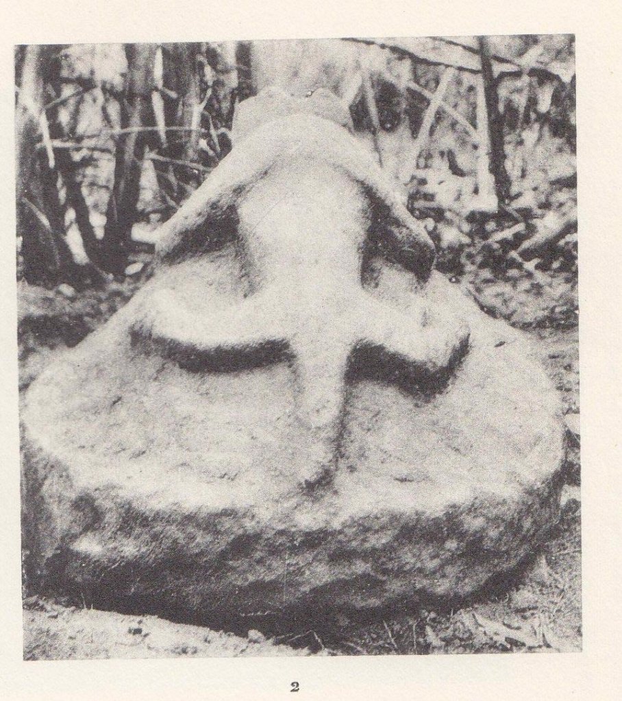 colani-1935-zoomorphic.jpg colani-1935-zoomorphic.jpg