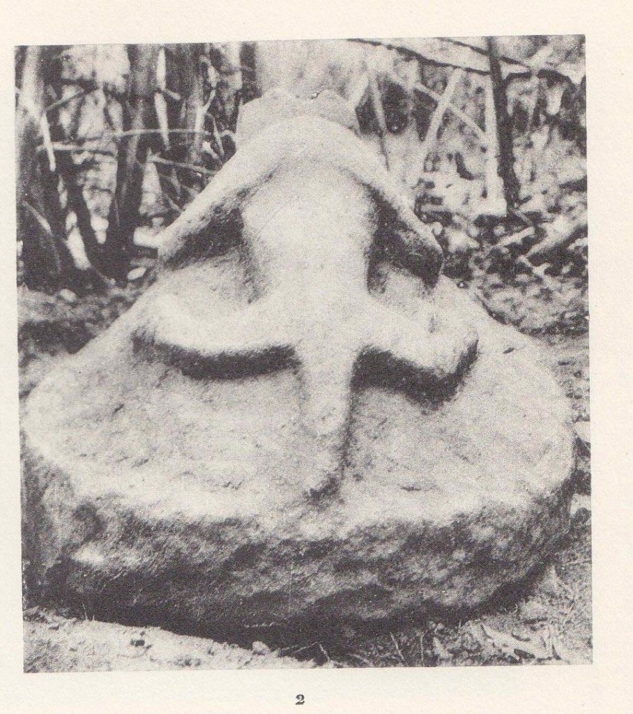 colani-1935-zoomorphic.jpg