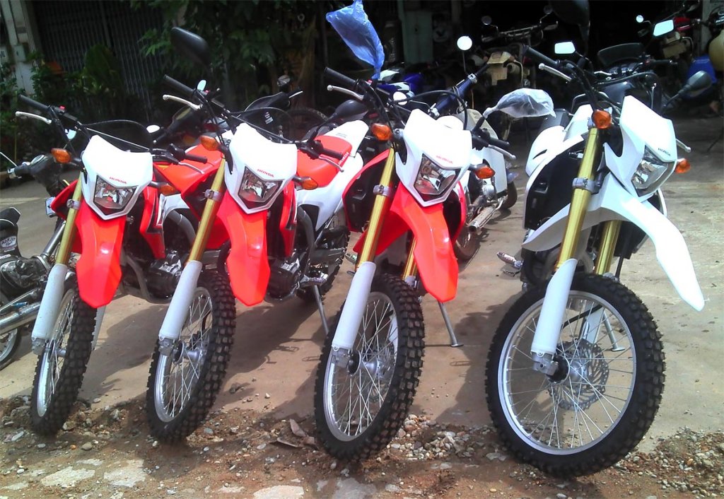 new-hondas.jpg