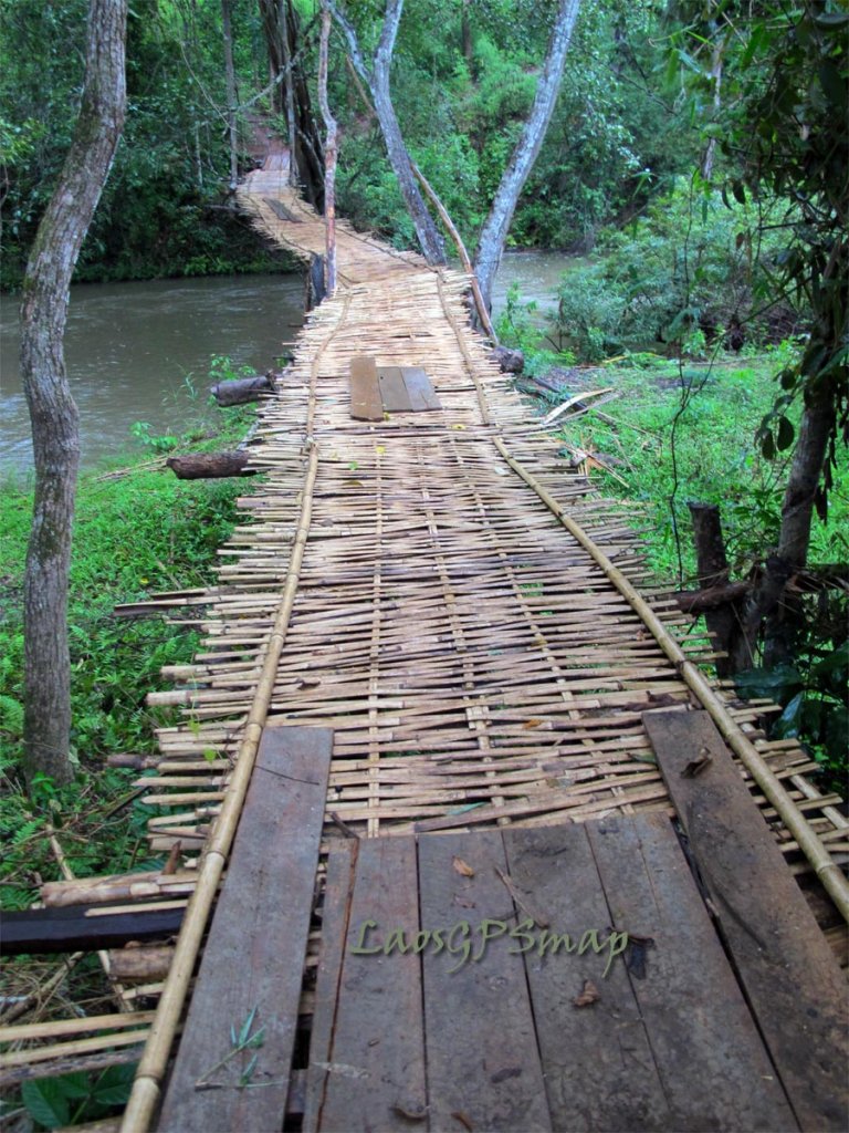 bamboo-bridge-walking.jpg