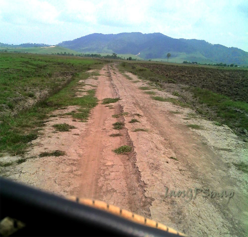 small-tracks.jpg small-tracks.jpg