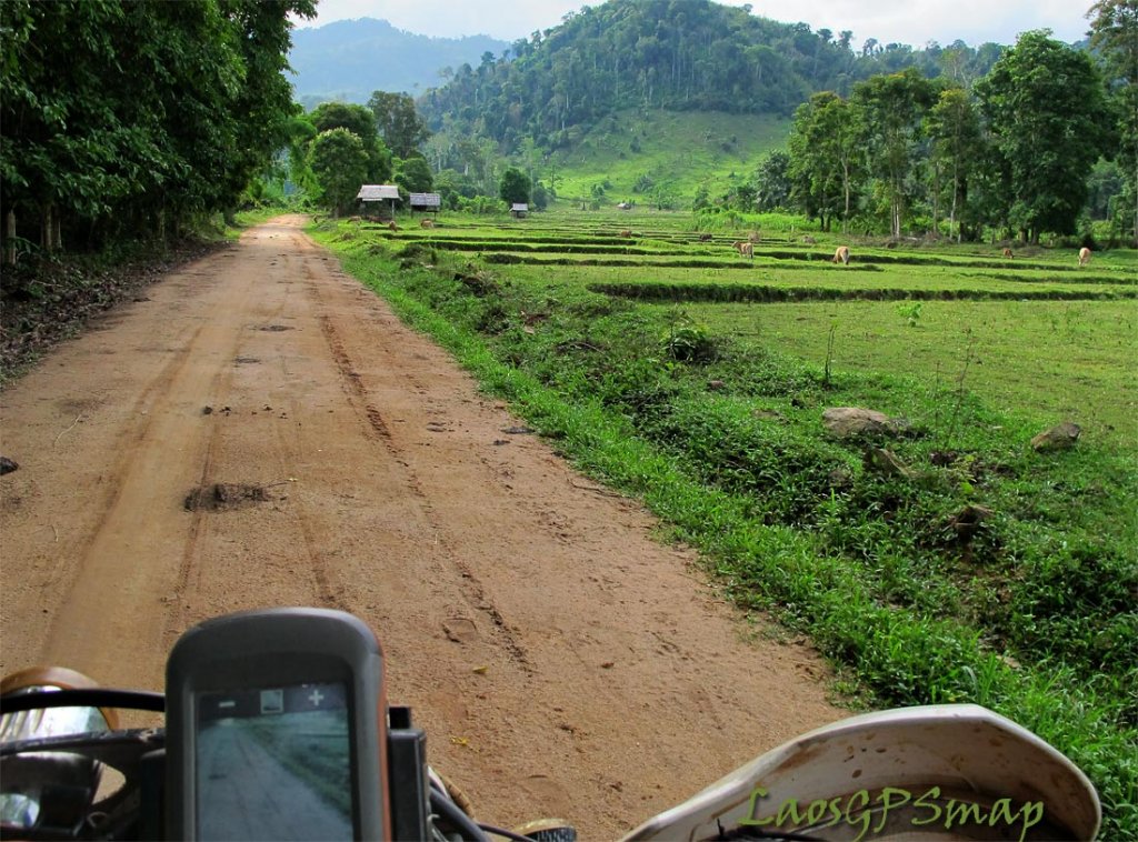 green--road.jpg