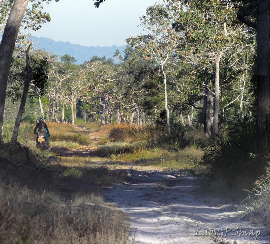 temple-road.jpg