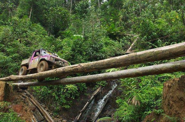 jeep logs.jpg