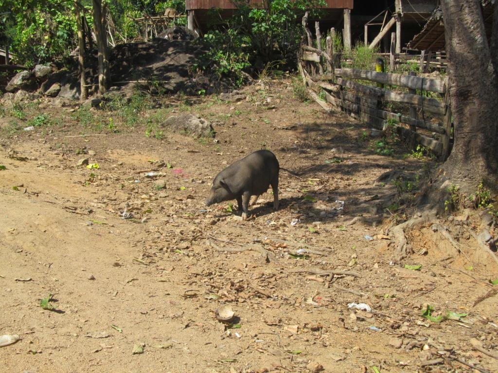 IMG_7087.jpg