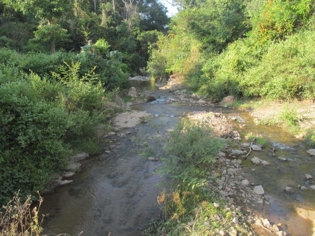 IMG_7114.jpg