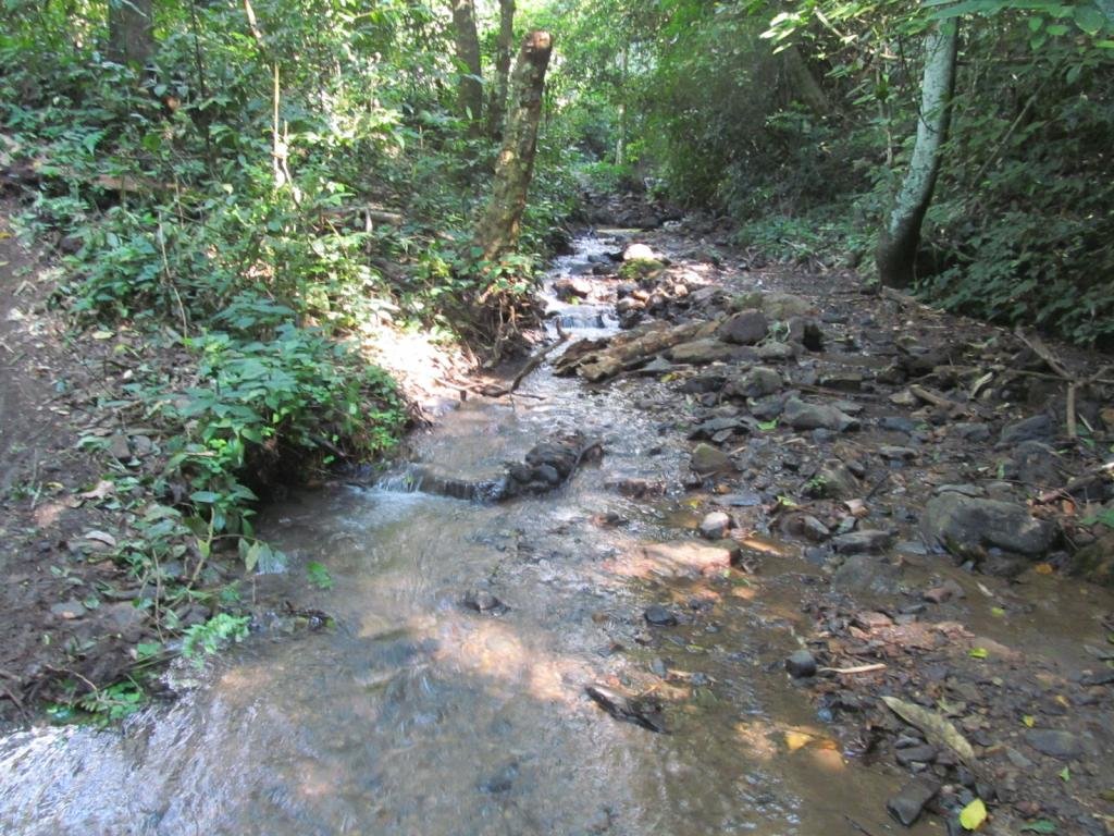 IMG_7681.jpg IMG_7681.jpg