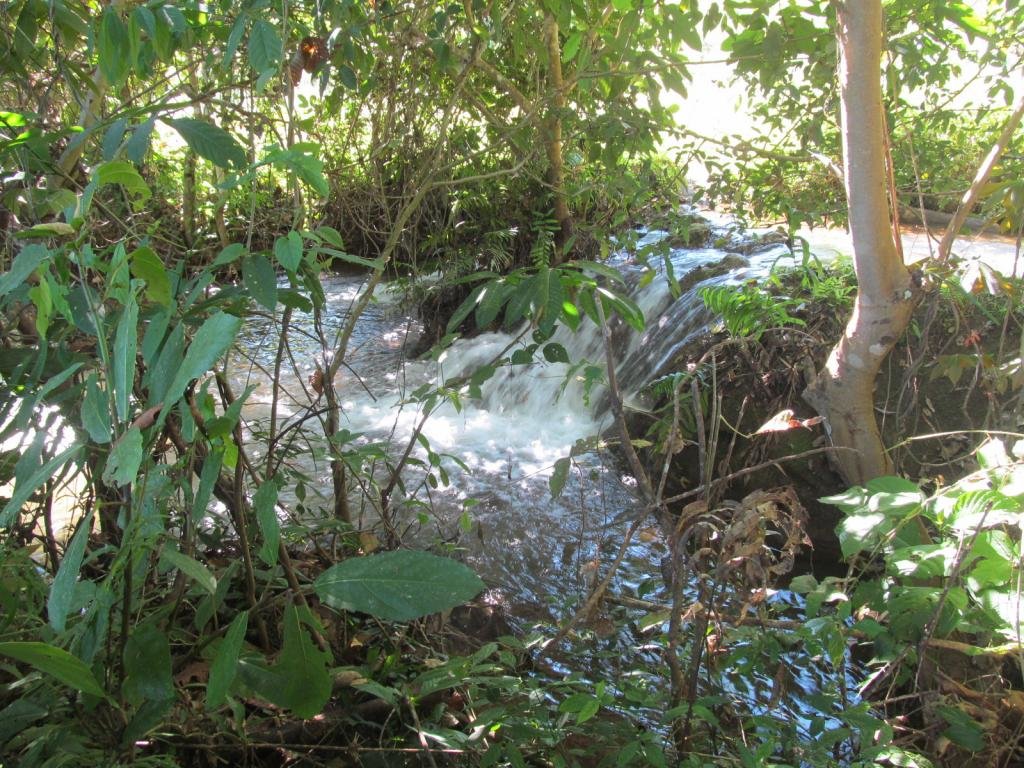 IMG_7810.jpg