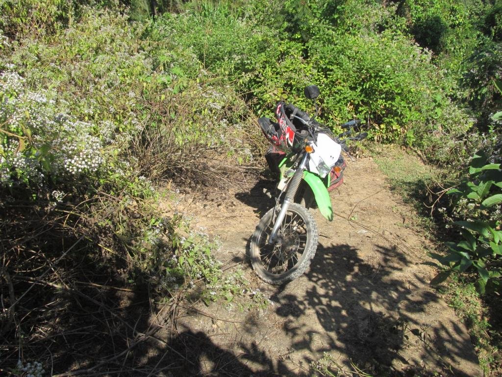 IMG_8230.jpg IMG_8230.jpg