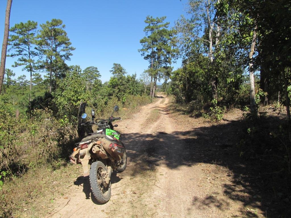 IMG_8827.jpg IMG_8827.jpg