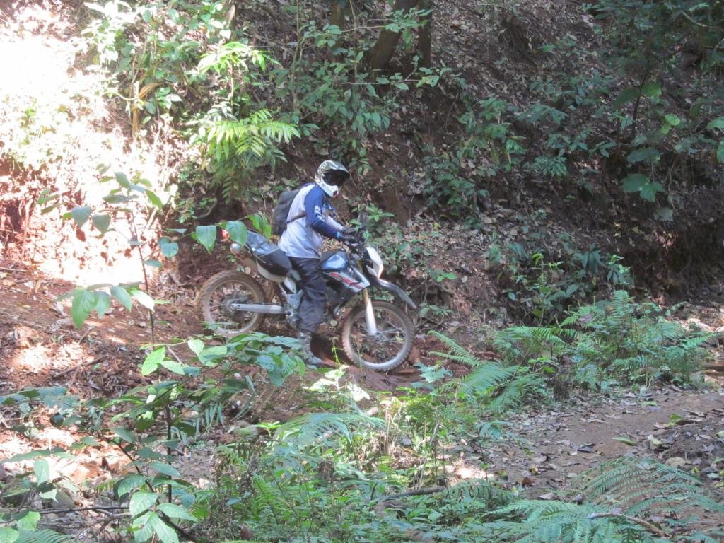 IMG_9359.jpg IMG_9359.jpg