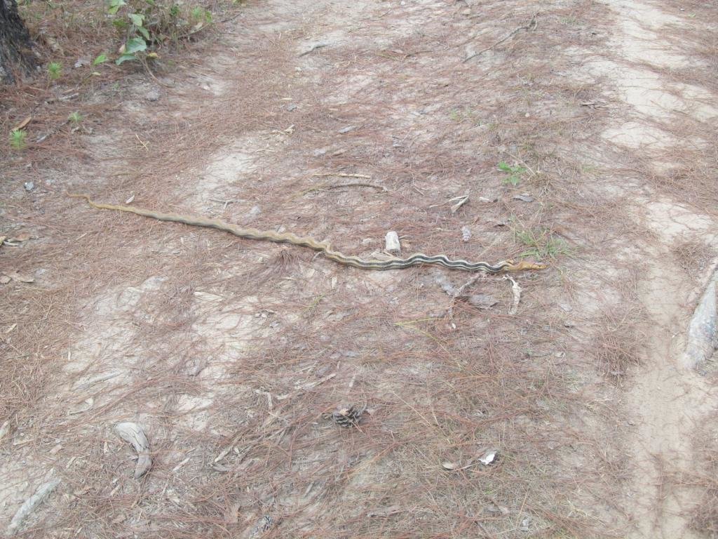 IMG_9479.jpg IMG_9479.jpg