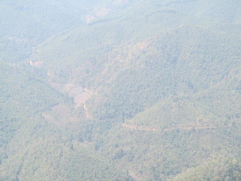 IMG_0016.jpg