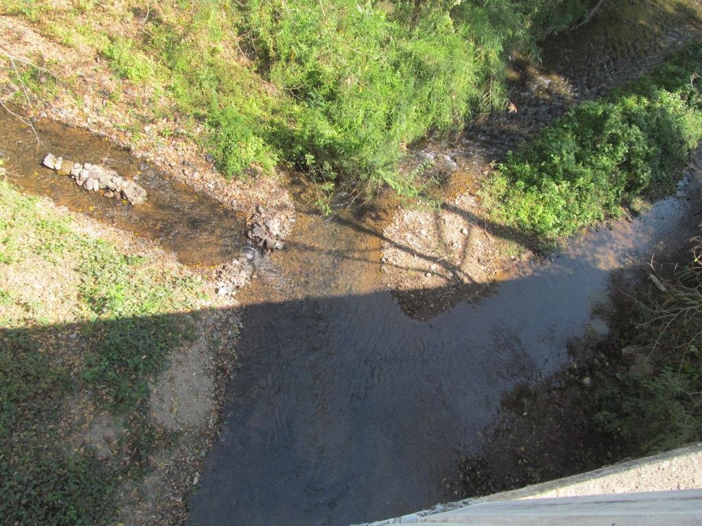 IMG_0360.jpg IMG_0360.jpg