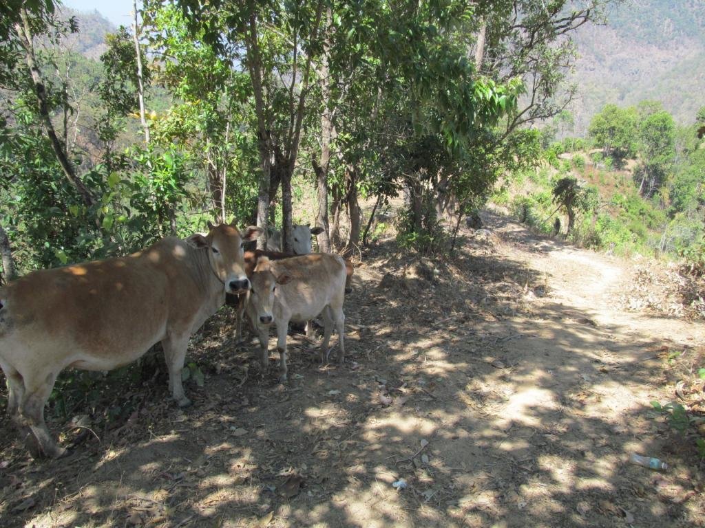 IMG_0435.jpg