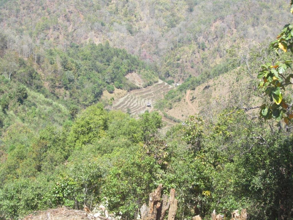 IMG_0436.jpg