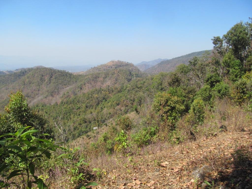IMG_0442.jpg