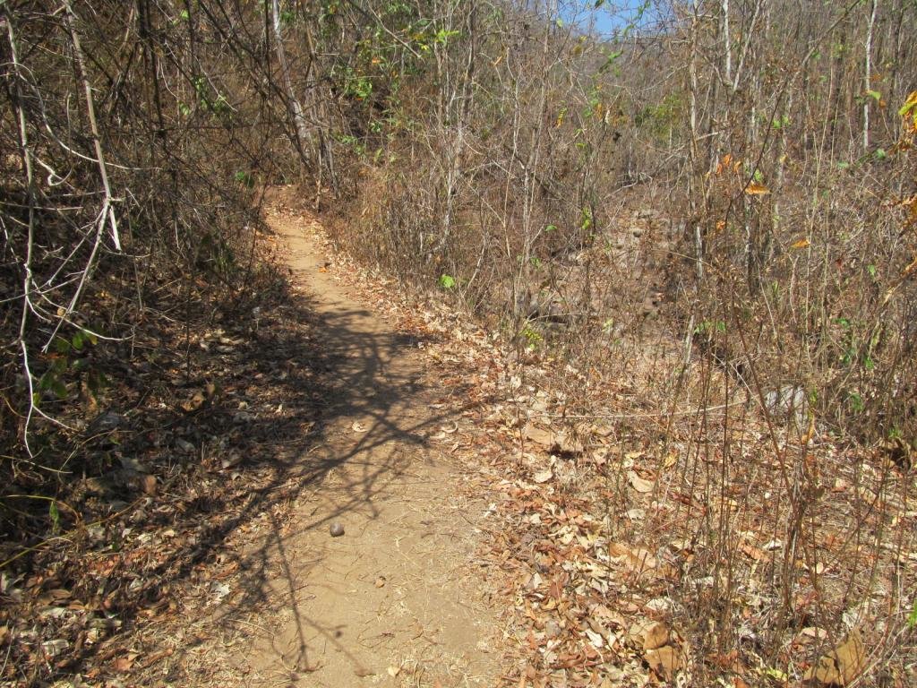 IMG_0556.jpg IMG_0556.jpg