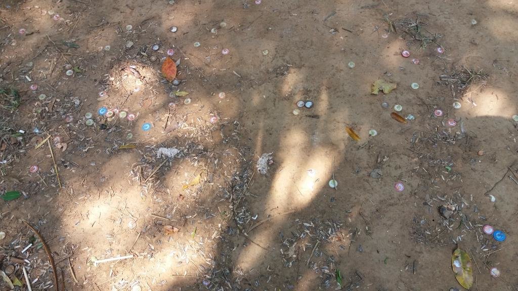 20170304_103417.jpg 20170304_103417.jpg