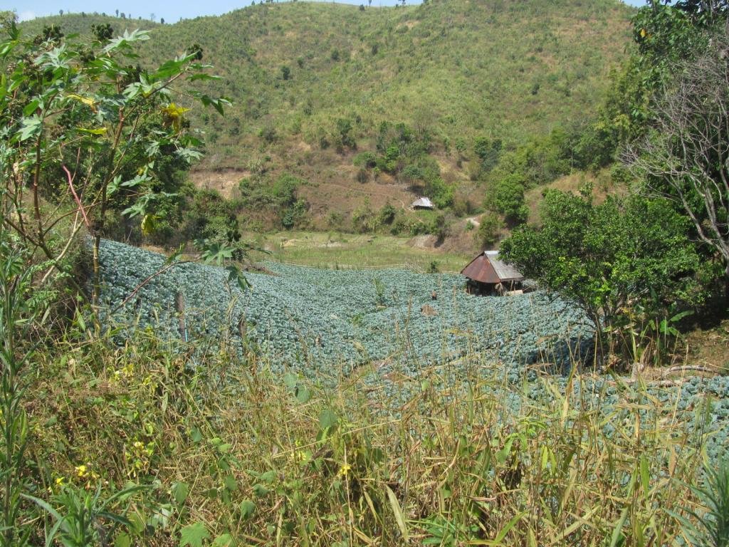 IMG_1038.jpg