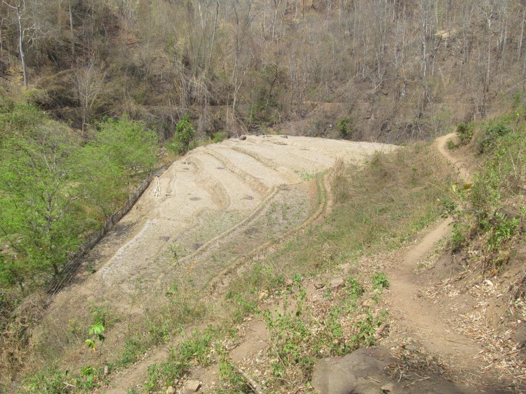 IMG_1123.jpg IMG_1123.jpg