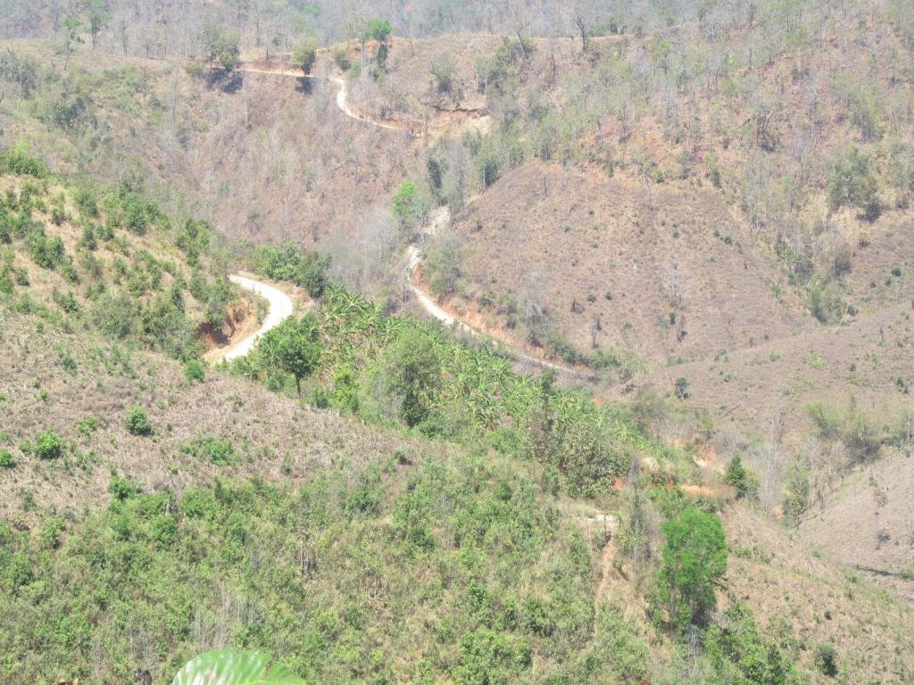 IMG_1149.jpg IMG_1149.jpg