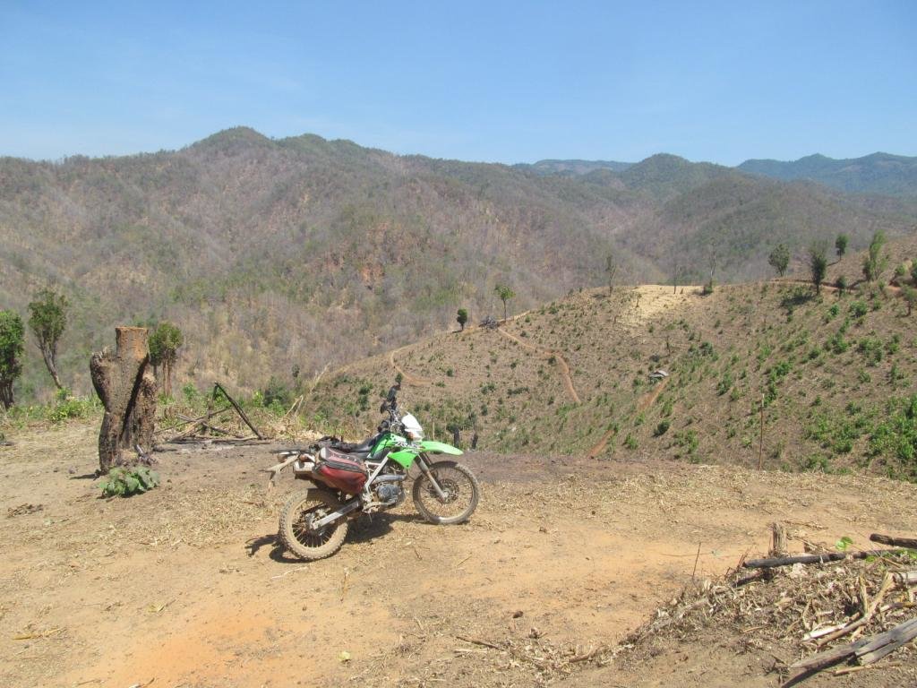 IMG_1150.jpg IMG_1150.jpg