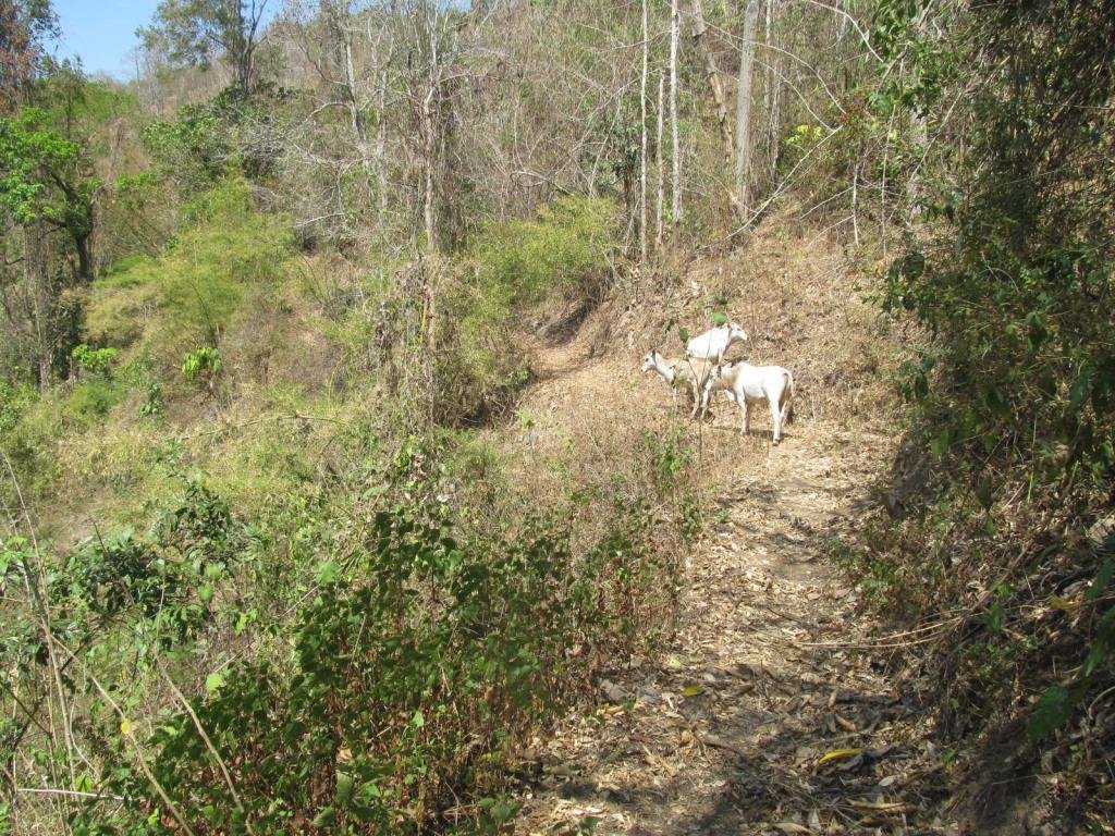 IMG_1171.jpg IMG_1171.jpg