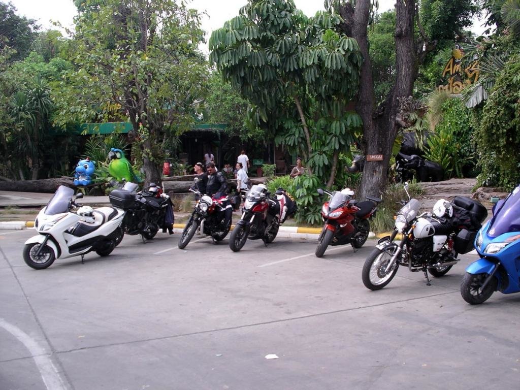 IMGP0005.jpg IMGP0005.jpg