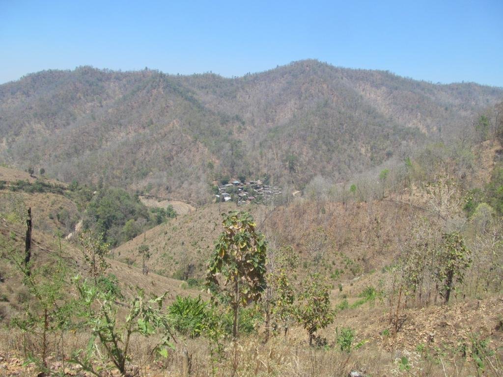 IMG_1395.jpg IMG_1395.jpg