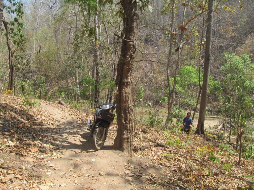 IMG_1425.jpg IMG_1425.jpg