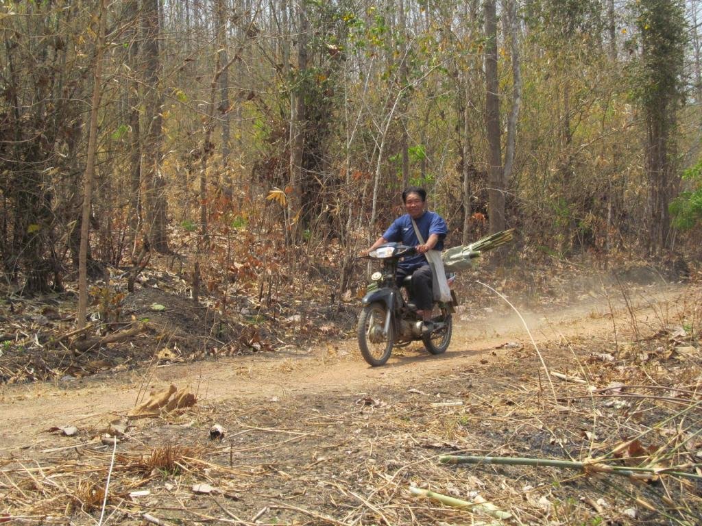 IMG_1525.jpg IMG_1525.jpg