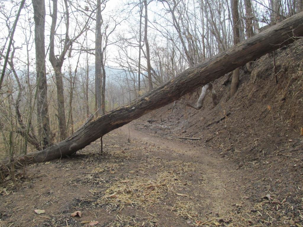 IMG_1539.jpg IMG_1539.jpg