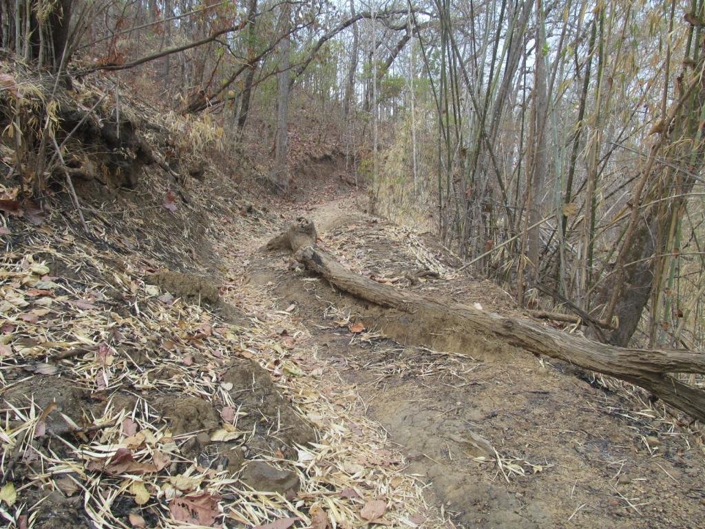 IMG_1540.jpg IMG_1540.jpg