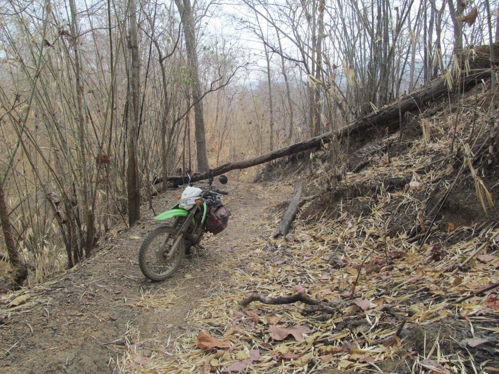 IMG_1541.jpg IMG_1541.jpg
