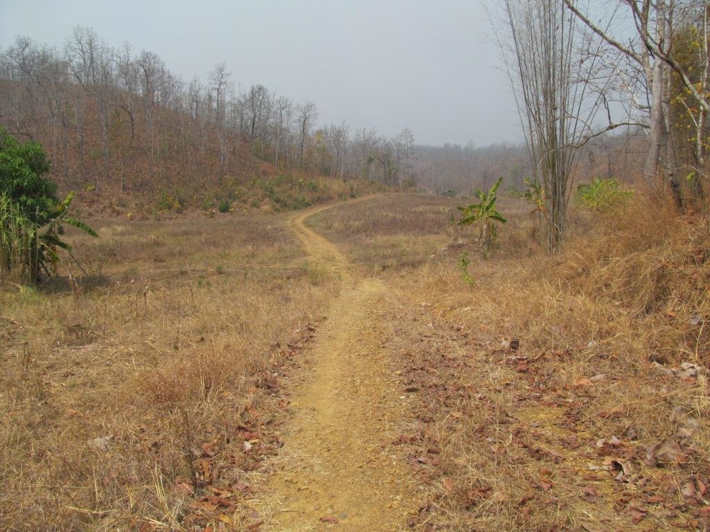 IMG_1560.jpg