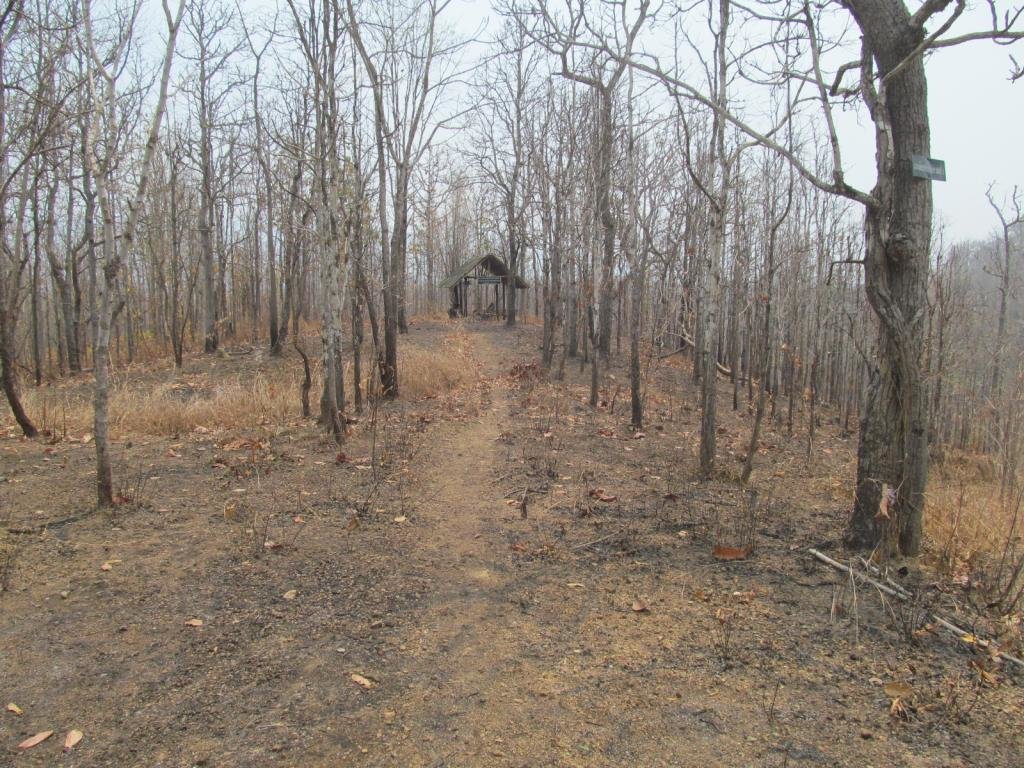 IMG_1567.jpg
