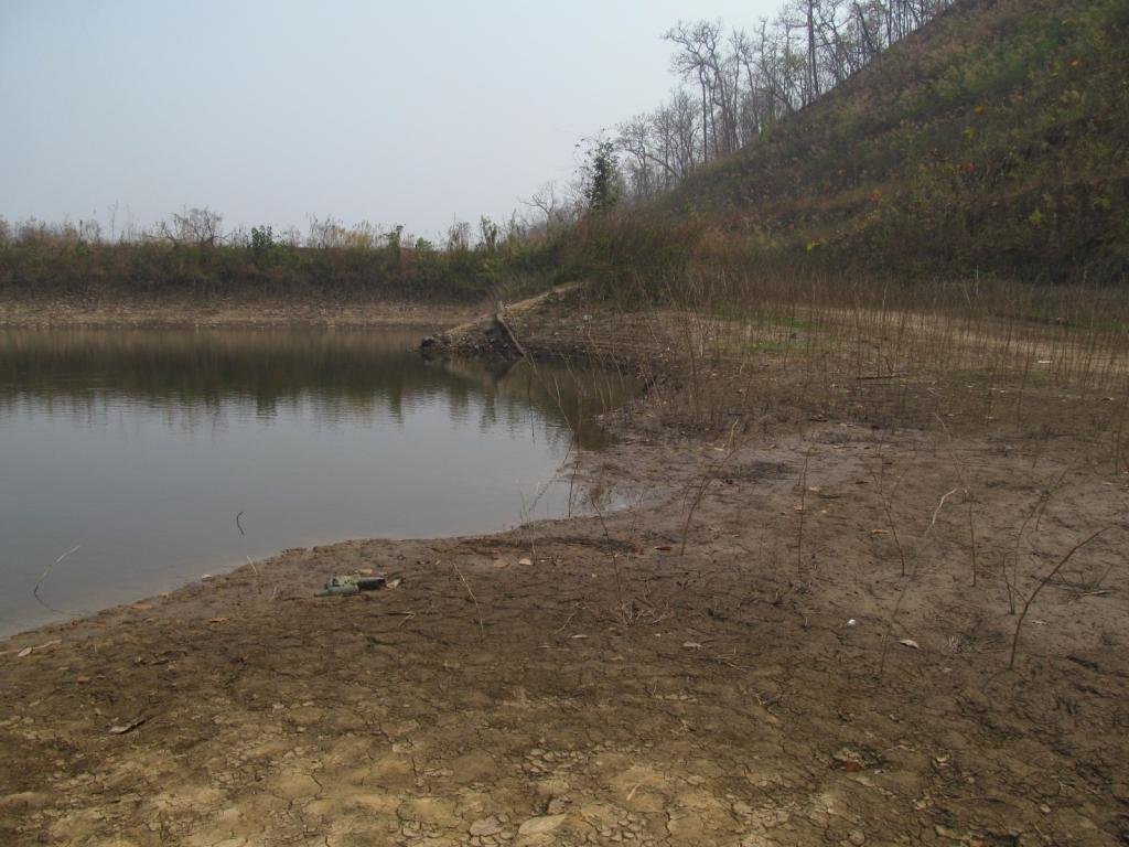 IMG_1591.jpg